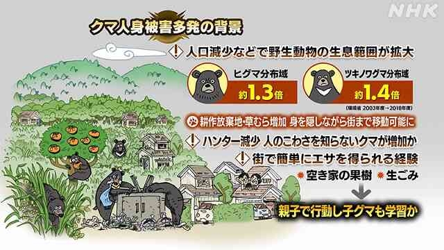 クマ対応、疲労深刻 「時間問わず、休日も作業」―箱わな不足も問題化・秋田