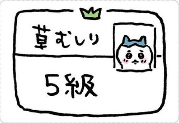 役に立たない資格の勉強をしている人