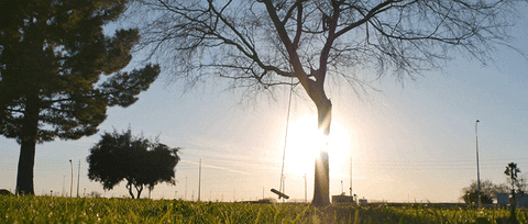 秋だから… シネマグラフをみんなで貼ろう