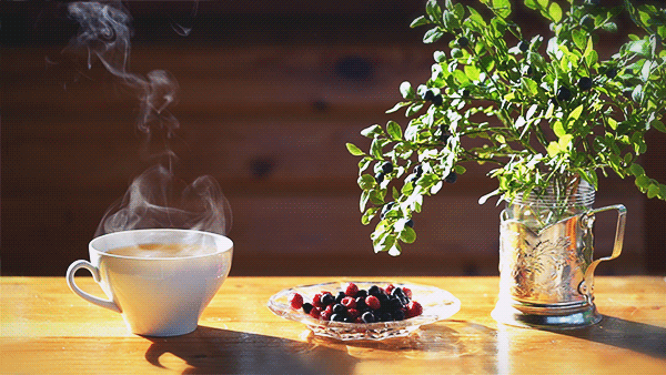 秋だから… シネマグラフをみんなで貼ろう