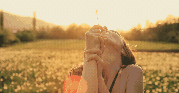 秋だから… シネマグラフをみんなで貼ろう