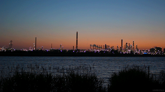 秋だから… シネマグラフをみんなで貼ろう