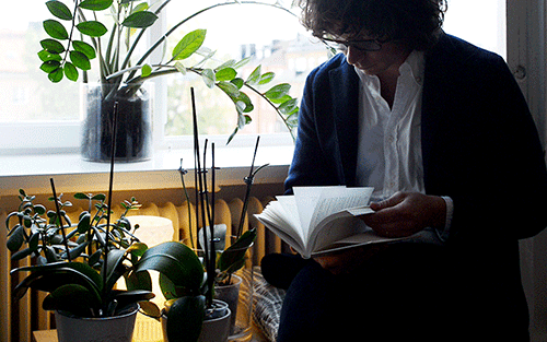 秋だから… シネマグラフをみんなで貼ろう