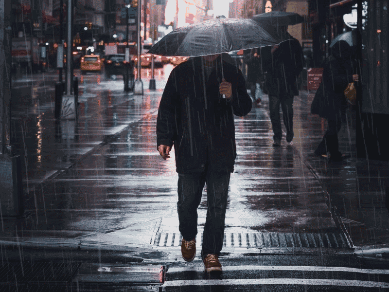 秋だから… シネマグラフをみんなで貼ろう