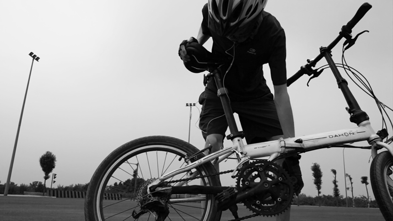 秋だから… シネマグラフをみんなで貼ろう