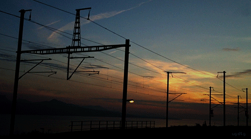 秋だから… シネマグラフをみんなで貼ろう