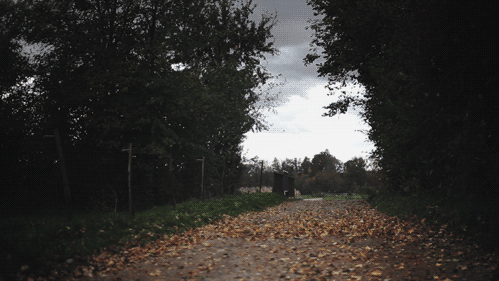 秋だから… シネマグラフをみんなで貼ろう