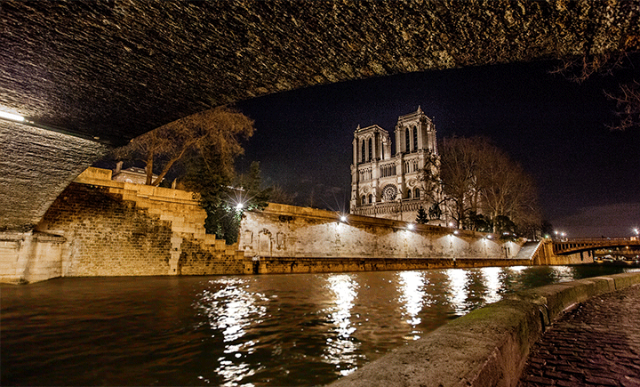 秋だから… シネマグラフをみんなで貼ろう