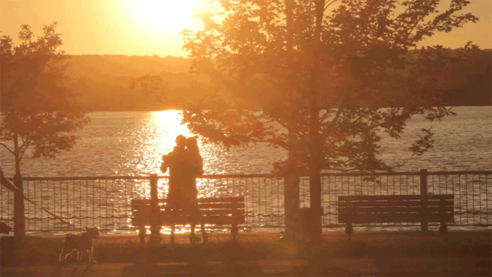 秋だから… シネマグラフをみんなで貼ろう