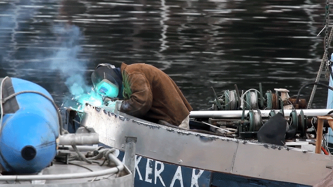 秋だから… シネマグラフをみんなで貼ろう