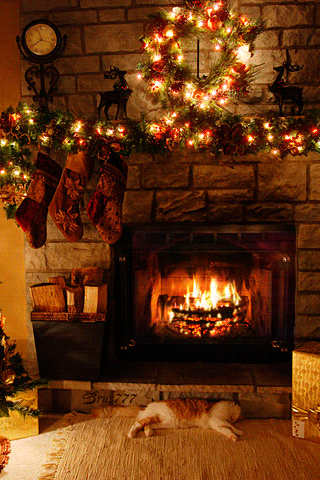 秋だから… シネマグラフをみんなで貼ろう