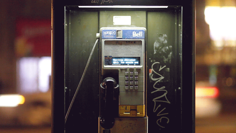 秋だから… シネマグラフをみんなで貼ろう