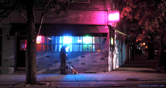 秋だから… シネマグラフをみんなで貼ろう