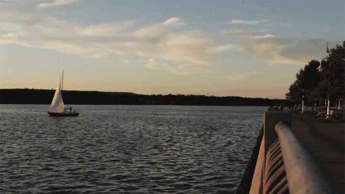 秋だから… シネマグラフをみんなで貼ろう