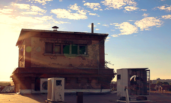 秋だから… シネマグラフをみんなで貼ろう