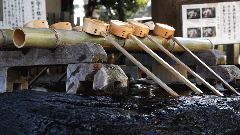 秋だから… シネマグラフをみんなで貼ろう