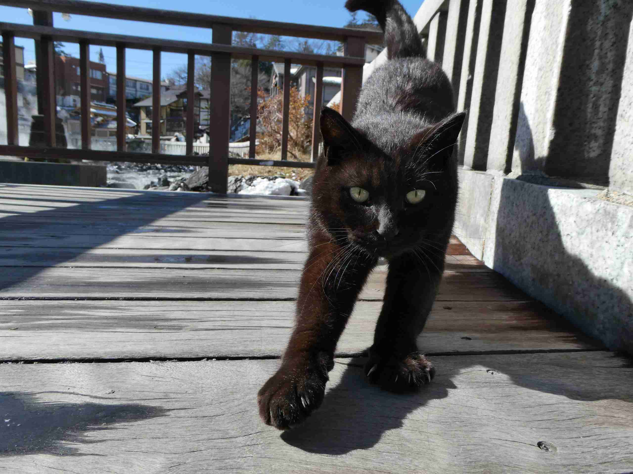 おすすめの温泉地