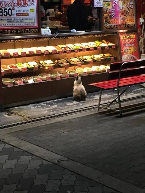 店頭販売していたら買ってしまう食べ物