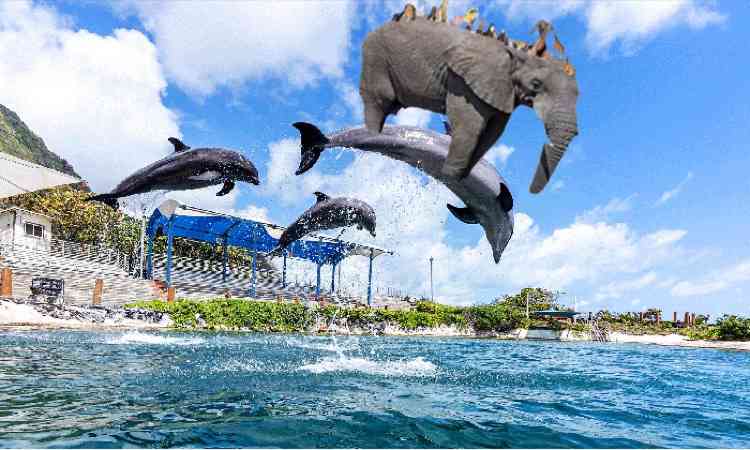 「骨が皮膚を突き破るほどの衝撃」南陽市職員がクマ警戒中にクマに襲われる　ケガは右手開放骨折の重傷と判明（山形）