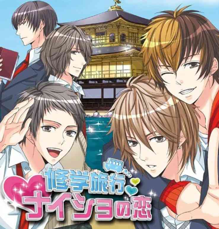 乙女ゲーム、楽しいですか？