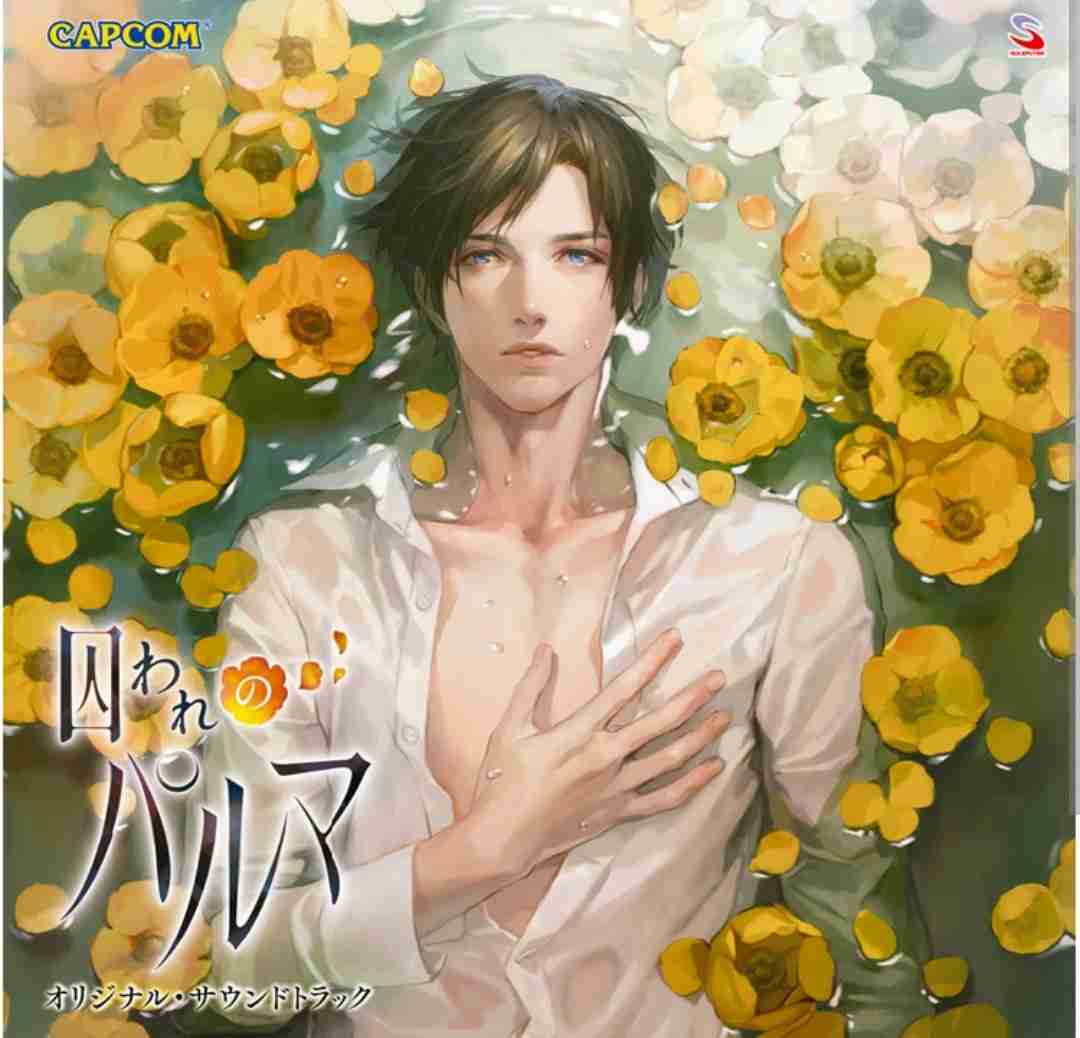 乙女ゲーム、楽しいですか？