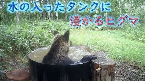 露天風呂に柵、半額補助へ クマ被害多発受け―観光庁