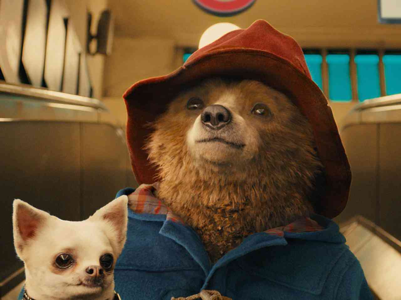 フード付きの服が好き