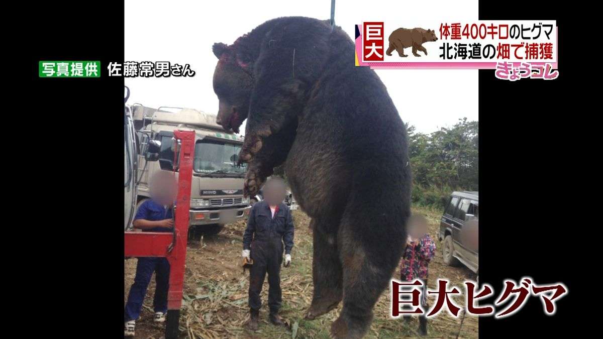 【閲覧注意】巨大生物を語るトピ