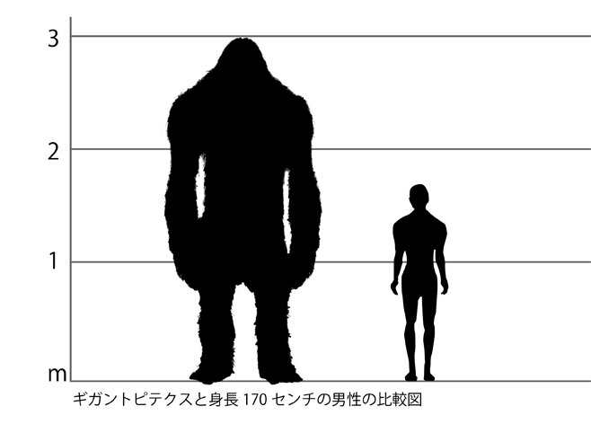 【閲覧注意】巨大生物を語るトピ