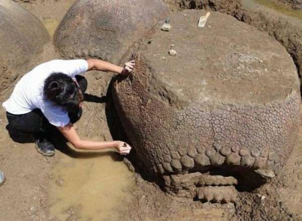 【閲覧注意】巨大生物を語るトピ