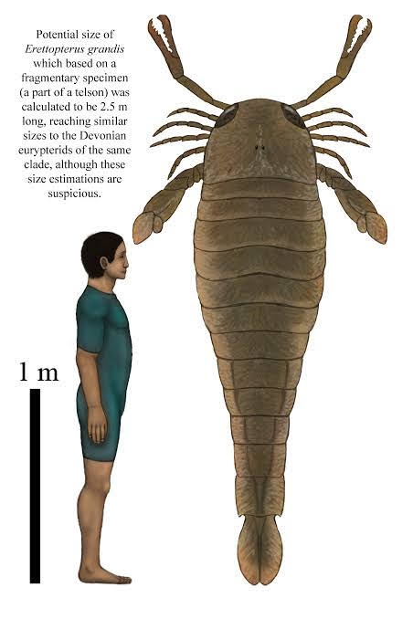 【閲覧注意】巨大生物を語るトピ