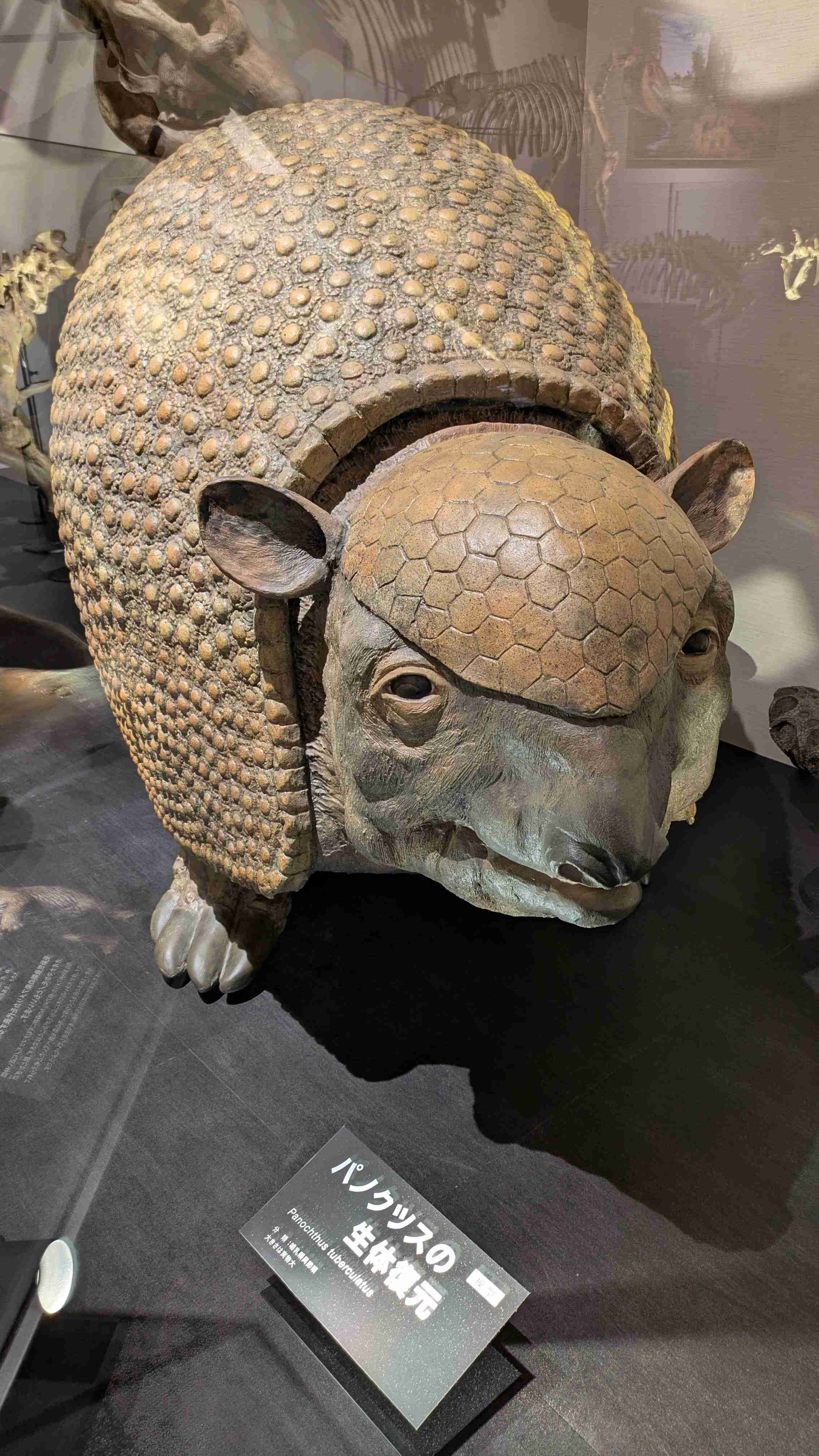 【閲覧注意】巨大生物を語るトピ