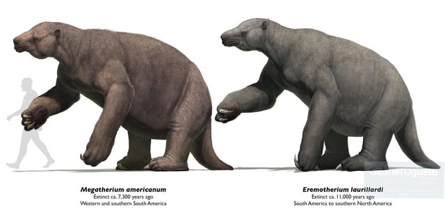 【閲覧注意】巨大生物を語るトピ