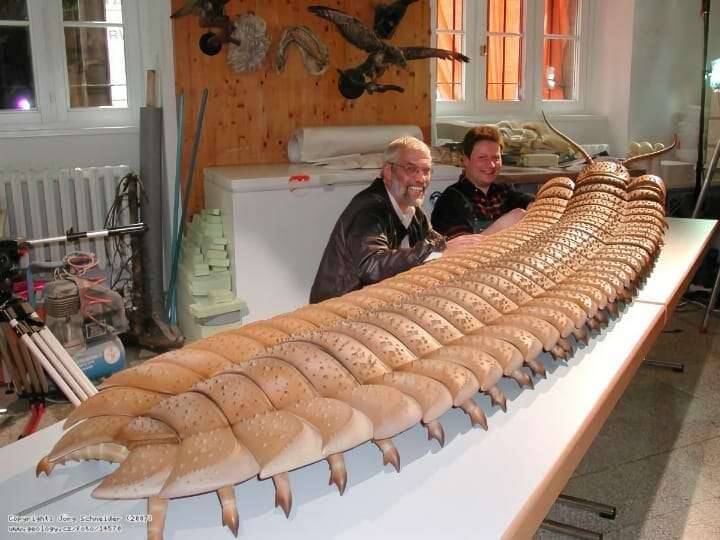 【閲覧注意】巨大生物を語るトピ