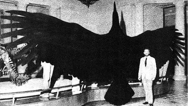【閲覧注意】巨大生物を語るトピ