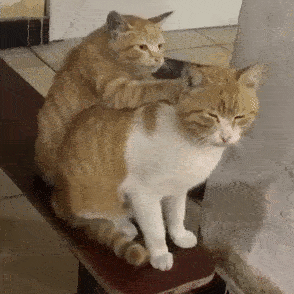 この先どんどん無くなっていきそうなもの