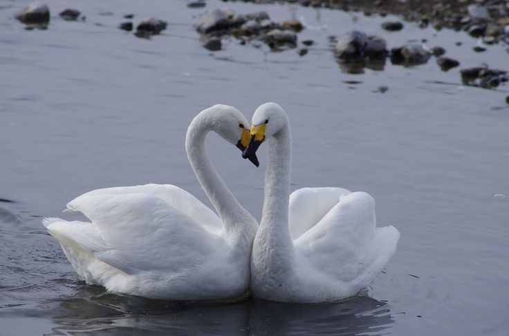 友人が詐欺にあっていることに気づいてない