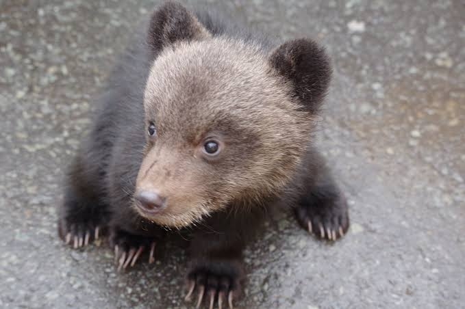 一生無縁でありたいこと