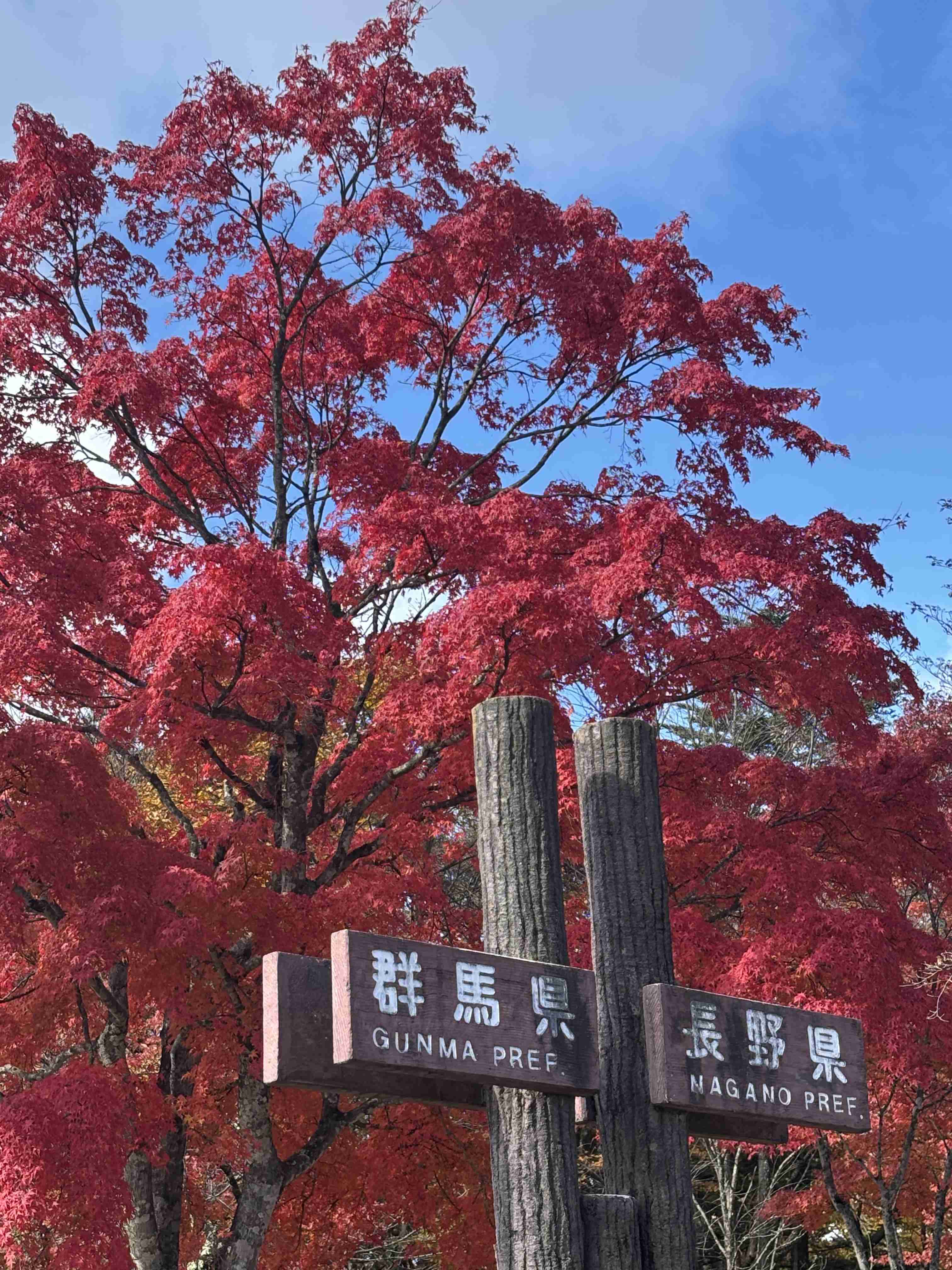 三連休どうでしたか?