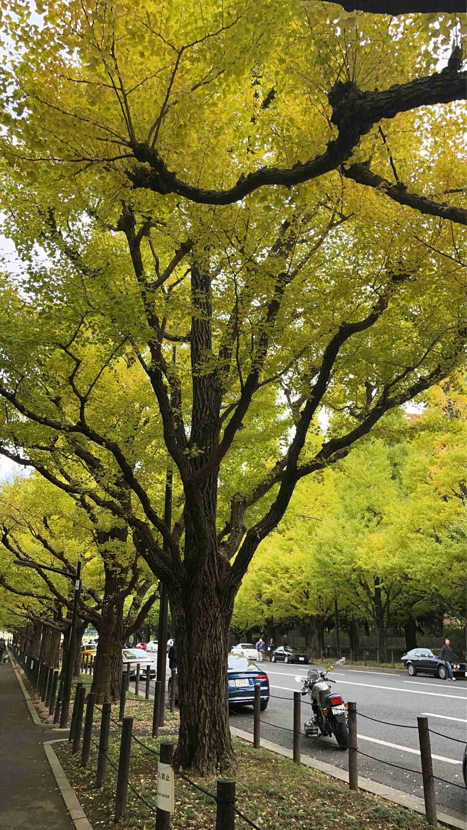 三連休どうでしたか?