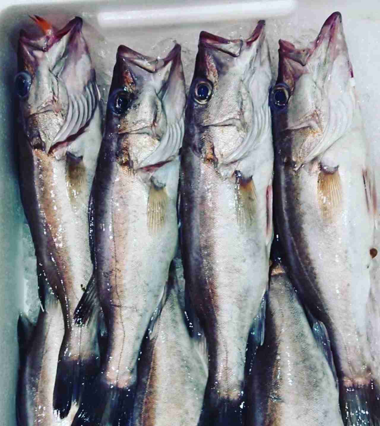 アラフォーの美容を語るトピpart3