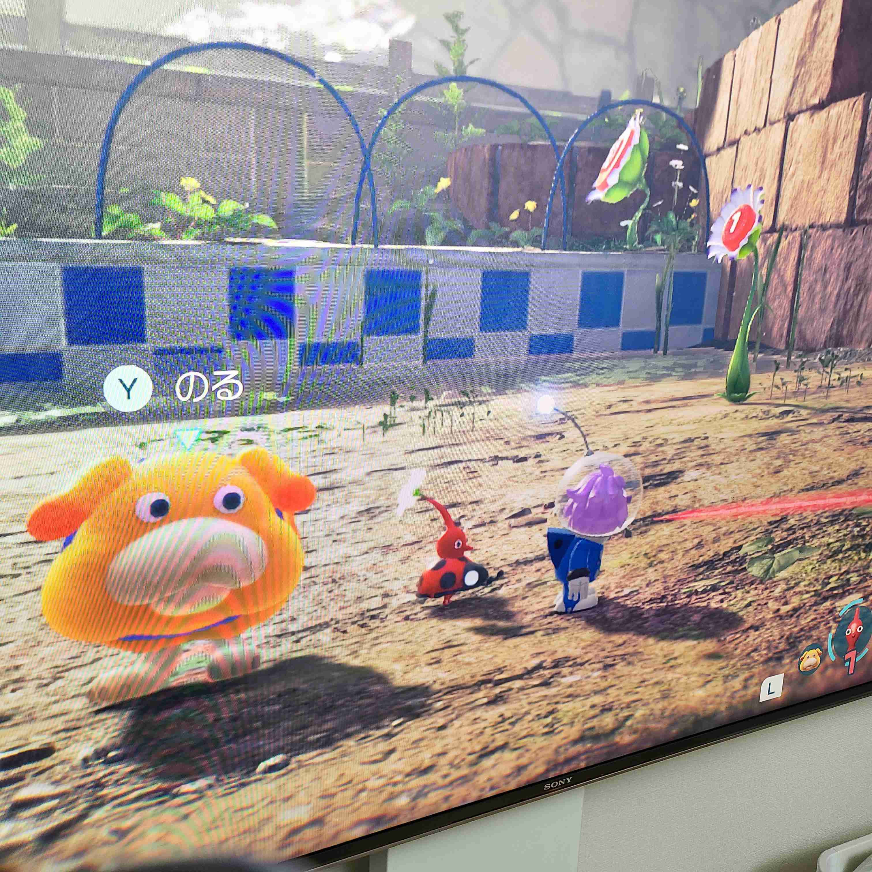 Pikmin Bloom(ピクミンブルーム)ピクミンとおでかけしよう✿Part24✿