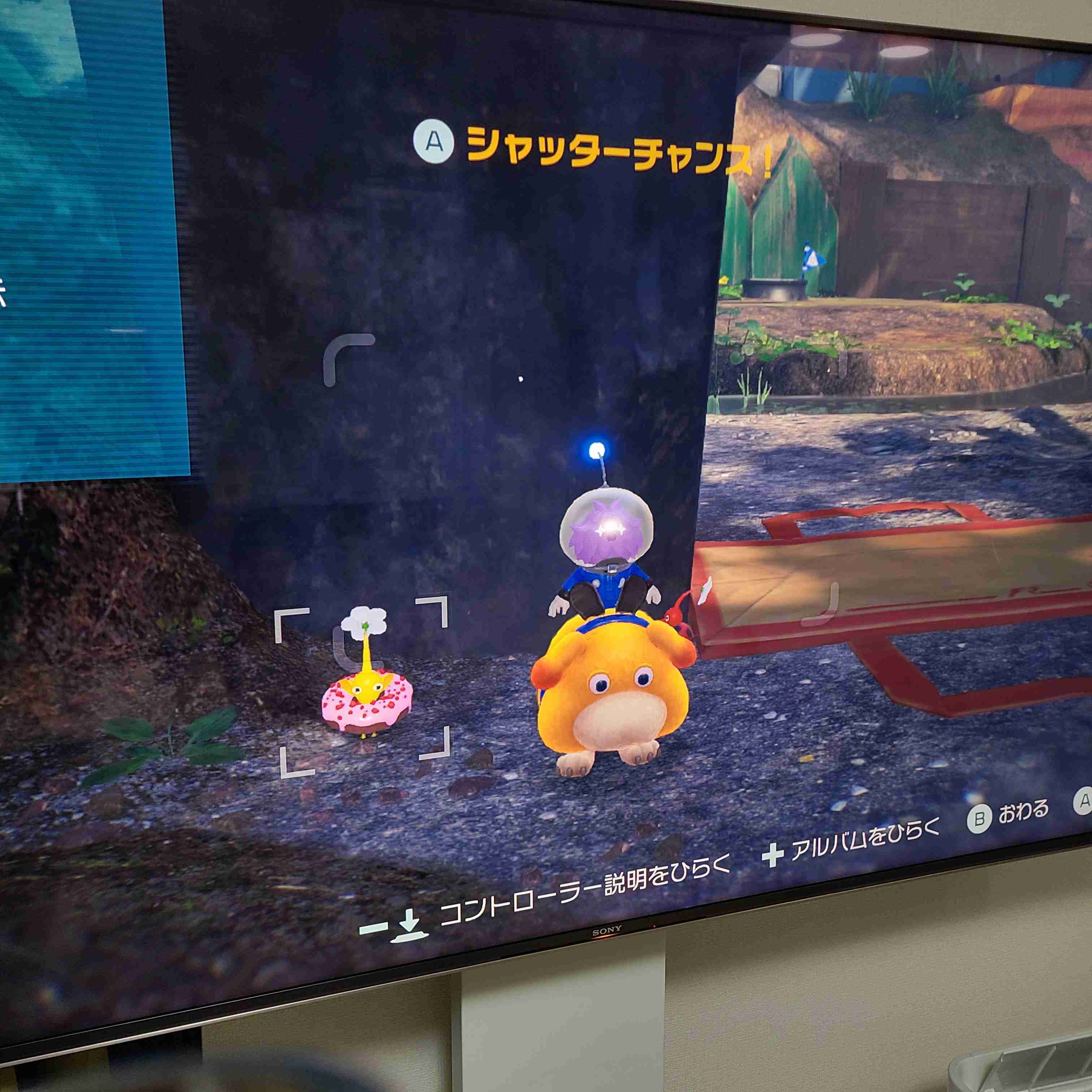 Pikmin Bloom(ピクミンブルーム)ピクミンとおでかけしよう✿Part24✿