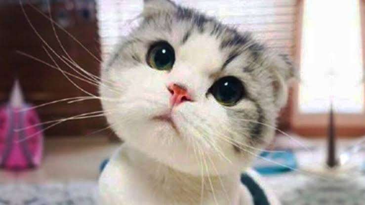 【下ネタ】自分は変態だと思う人!Part.21【アダルト】