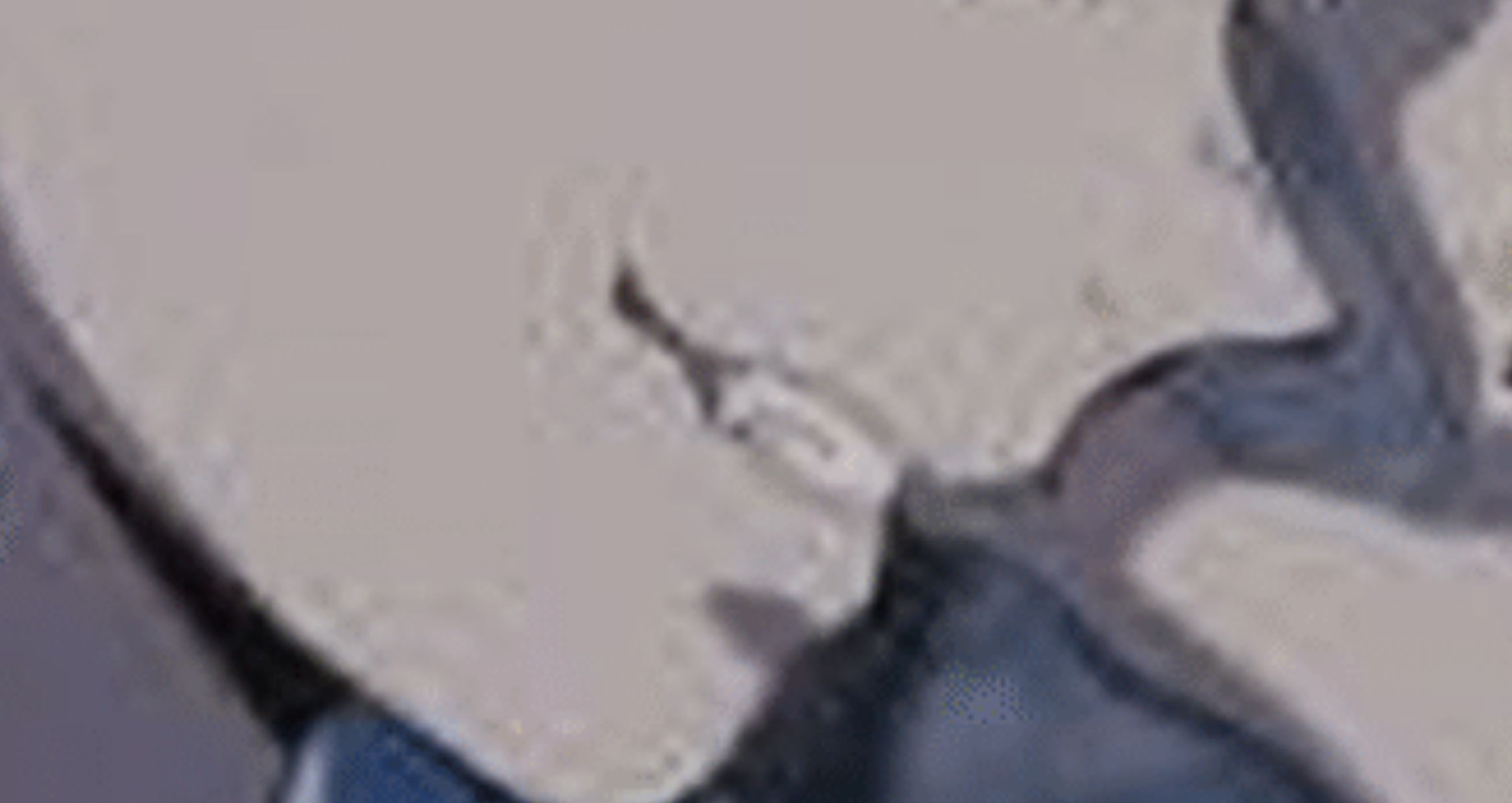 【定期】鬼滅の刃で彼氏にしたいキャラ Part23【妄想】