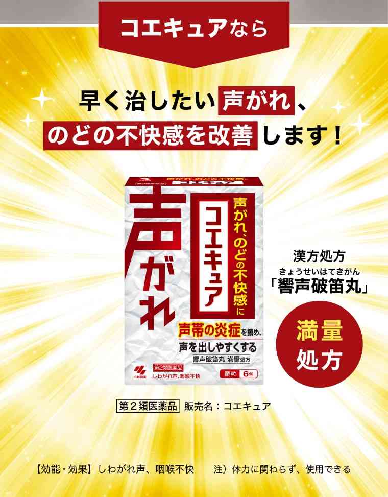 一定期間声が出せない生活になったら
