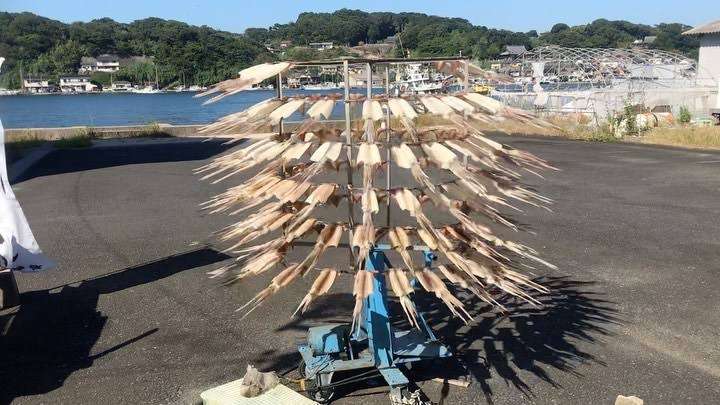 【野菜・果物・きのこなど】干すのが好きな方