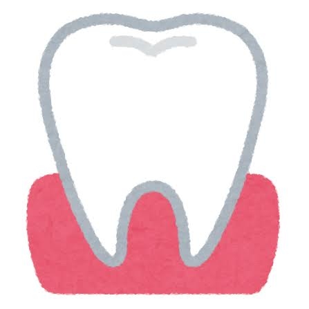 歯茎がものすごく下がってきた