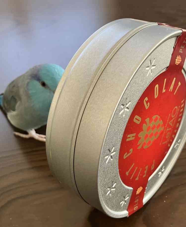 使う予定がないのに捨てられないもの