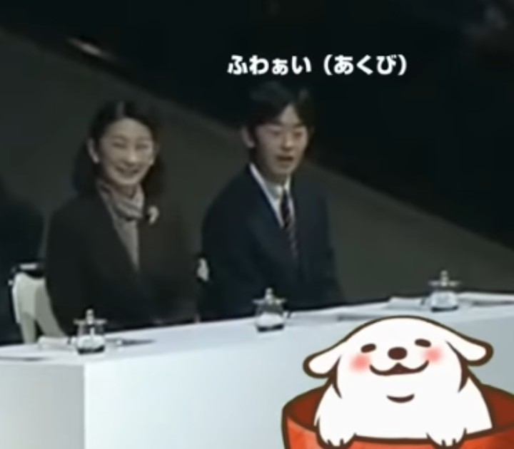 https://up.gc-img.net/post_img/2025/11/Ouw9Vx4kK3gAo1t_WfPed_6051.jpeg
